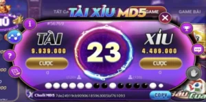 Tài xỉu md5 tại iwin club